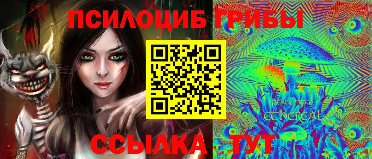 Псилоцибиновые грибы мухоморы Каменск-Шахтинский